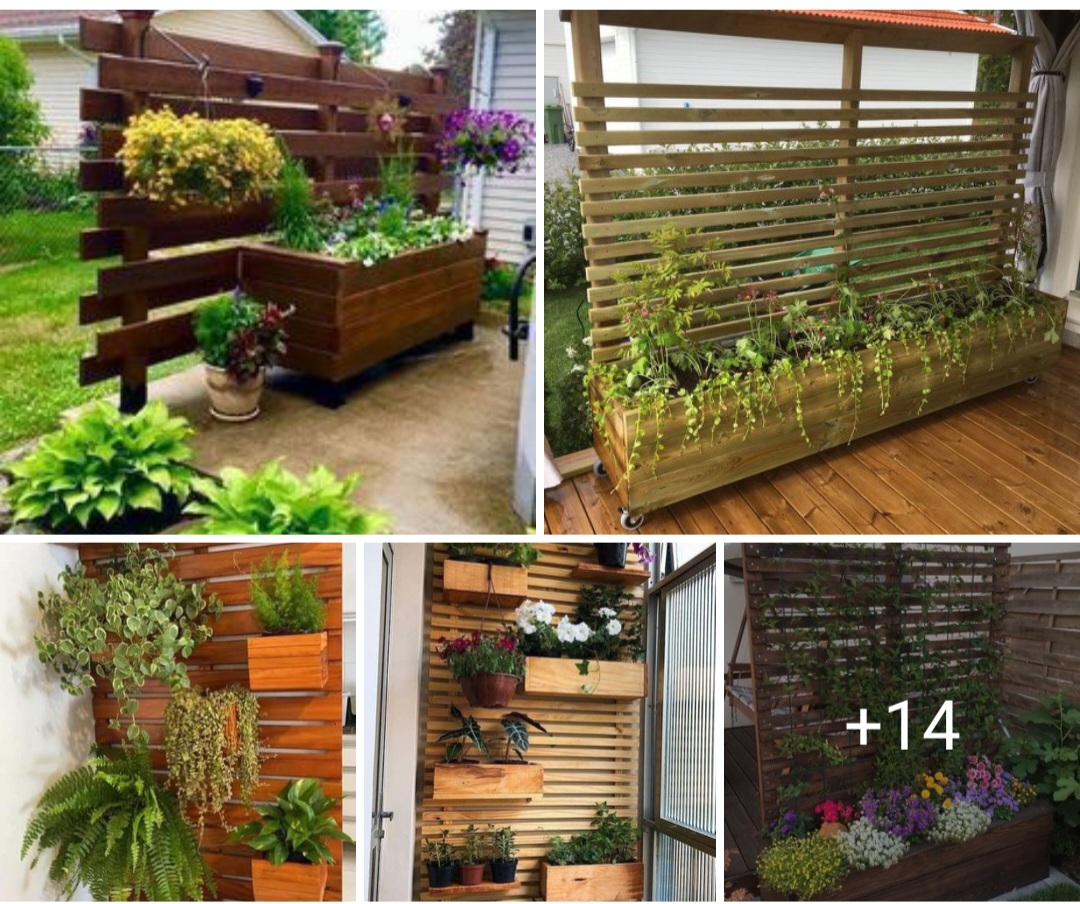 Garden design ideas 