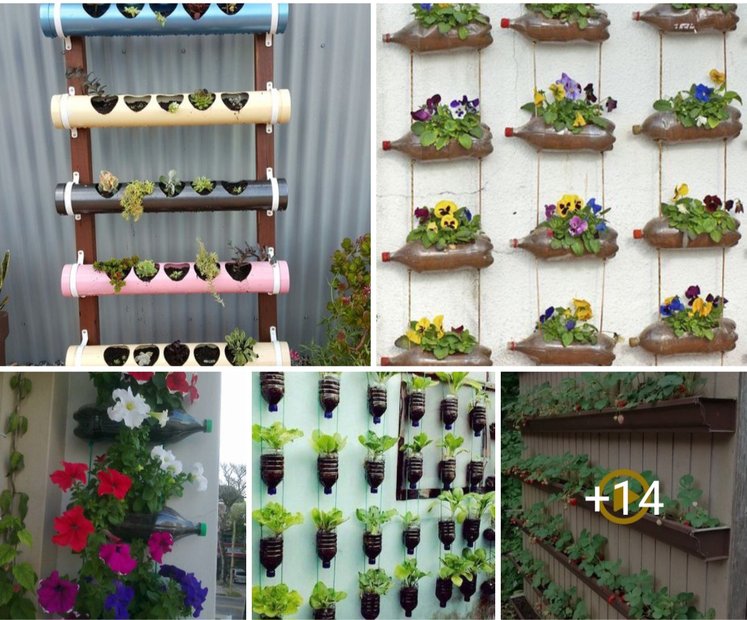 Garden design ideas 