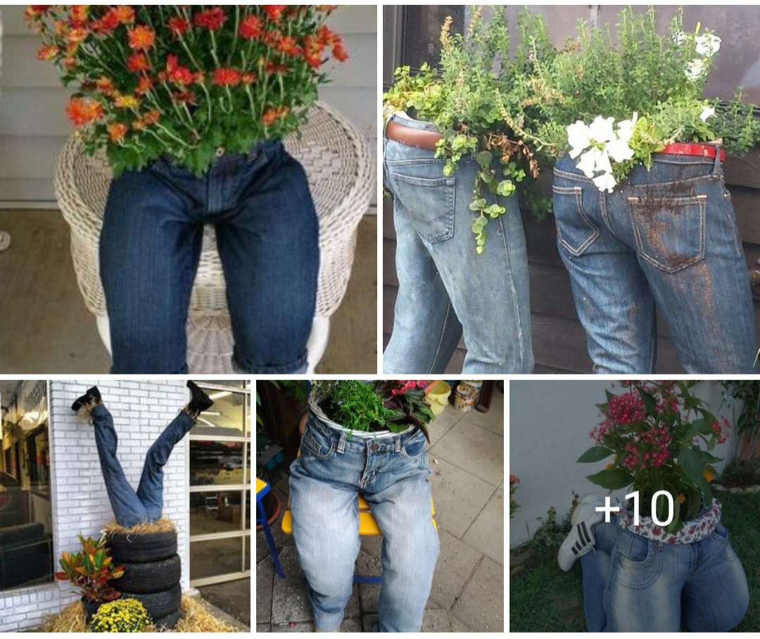 Garden design ideas 