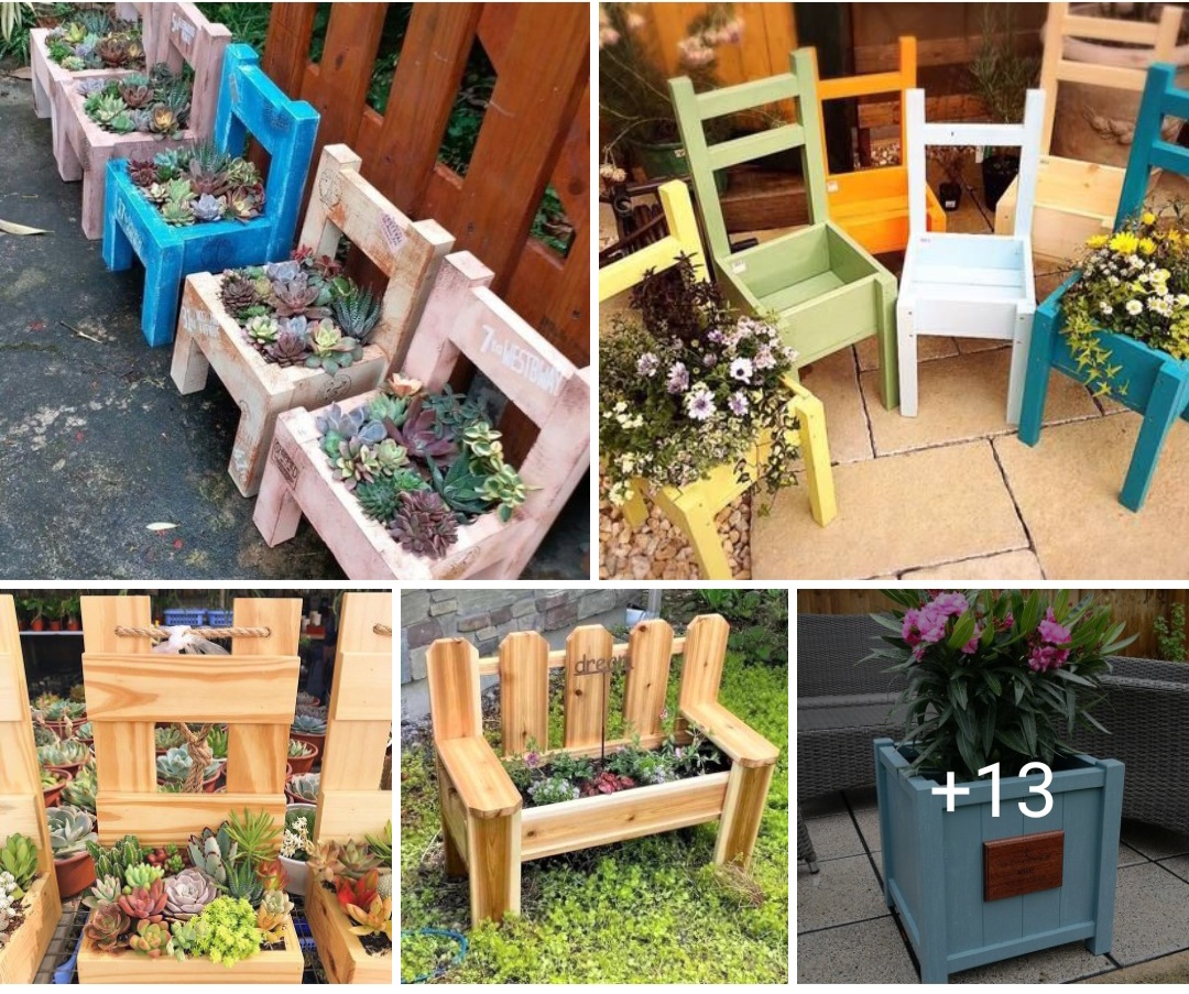 Garden design ideas 