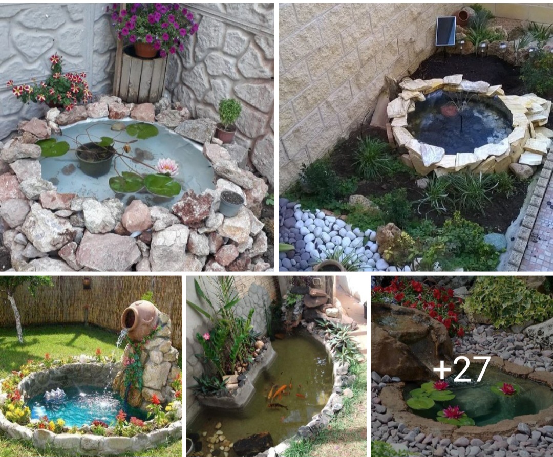 Garden design ideas 