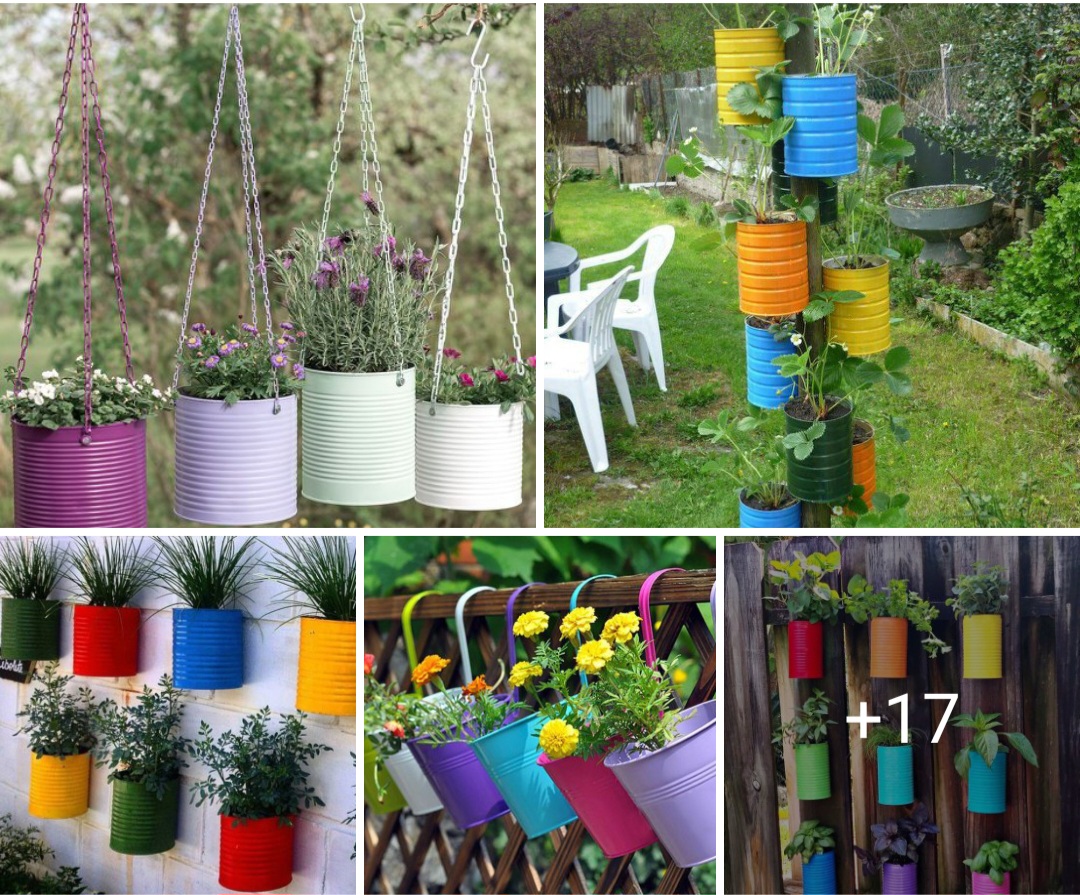 Garden design ideas 
