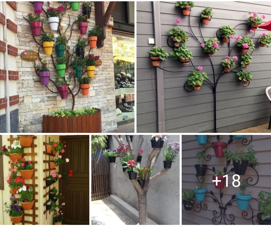 Garden design ideas 