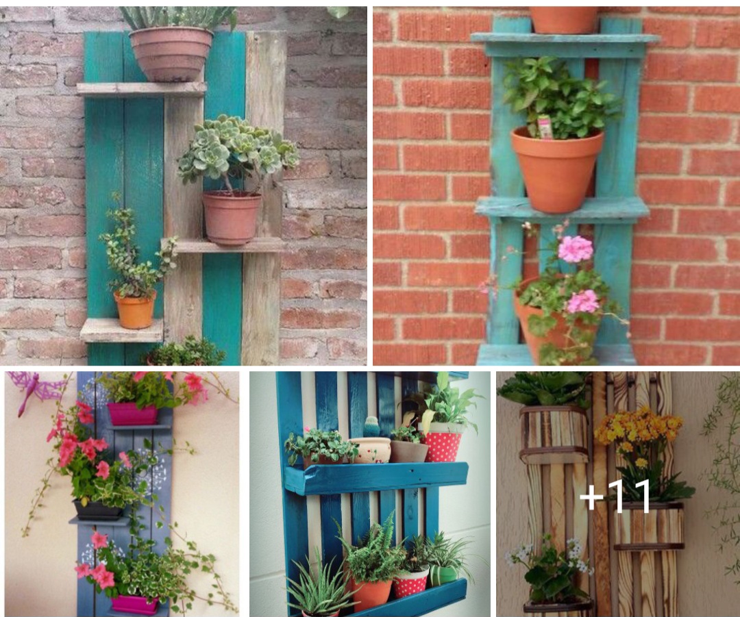 Garden design ideas 