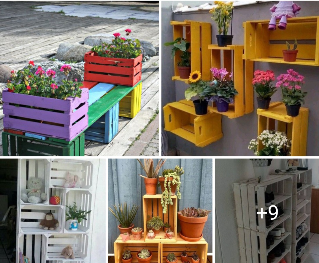 Garden design ideas 