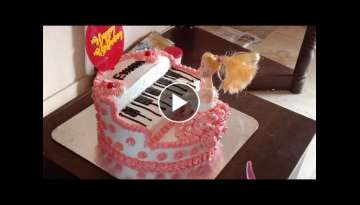 Piano cake #mizhies world#